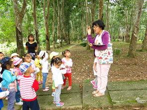 自然 第三十九季,探索未知领域的科学盛宴