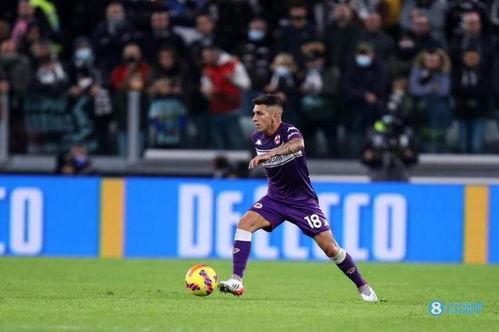 托雷 2023,展望未来，探索科技与创新的无限可能